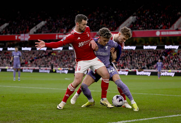 生动描述了 生动描述了